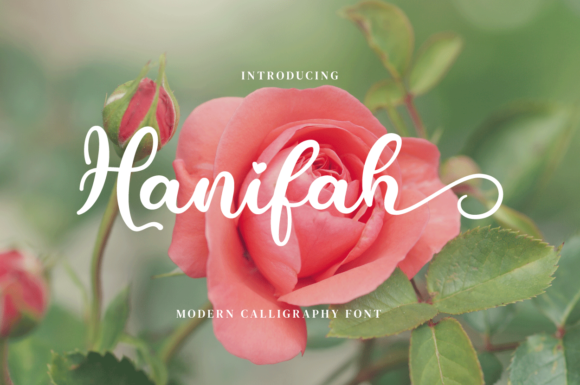 Hanifah Font: A Modern Script for Creative Expression